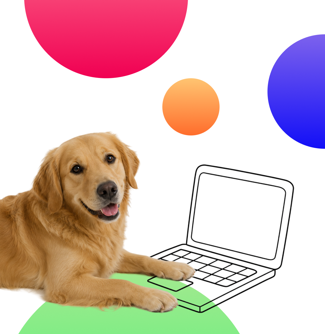 Dog with laptop