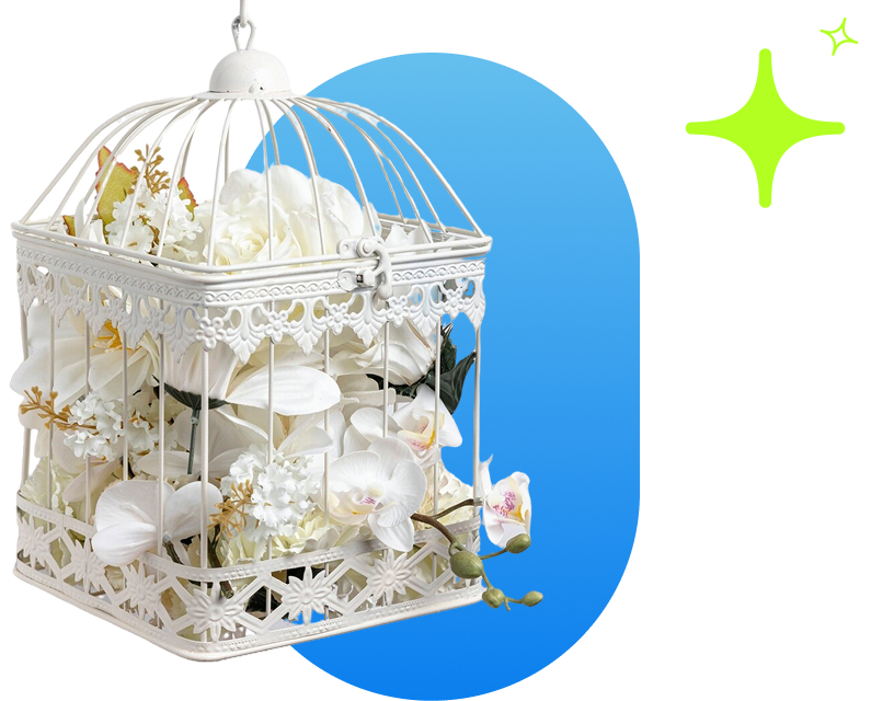 Flowers in a birdcage