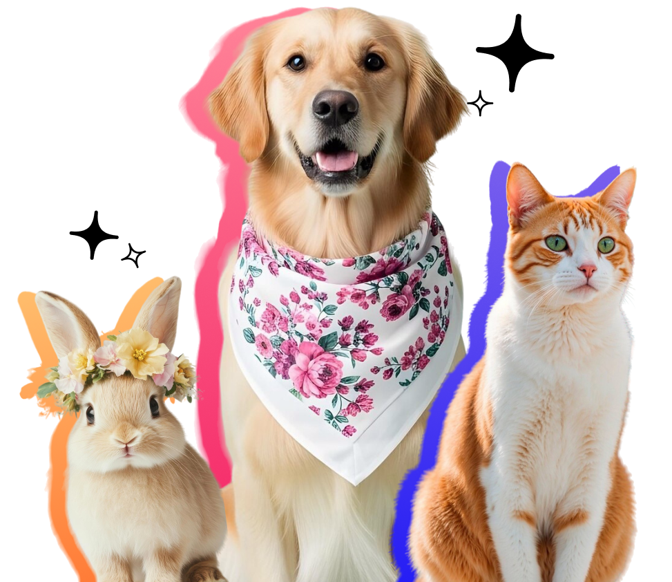 Happy pets