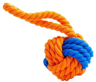 Chew Toys