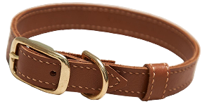Cat Collars