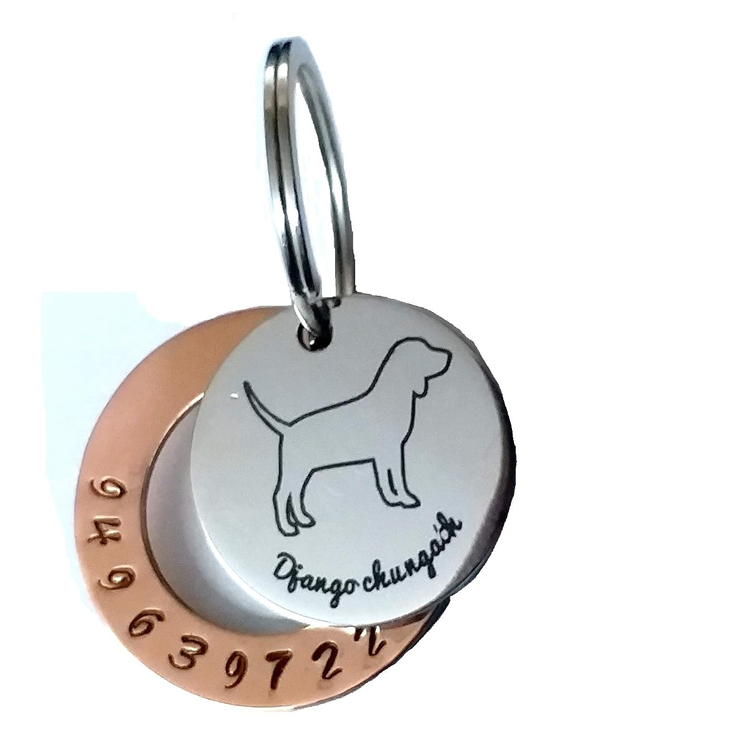 Pawcraft Lively Pet Studio Modern Companion