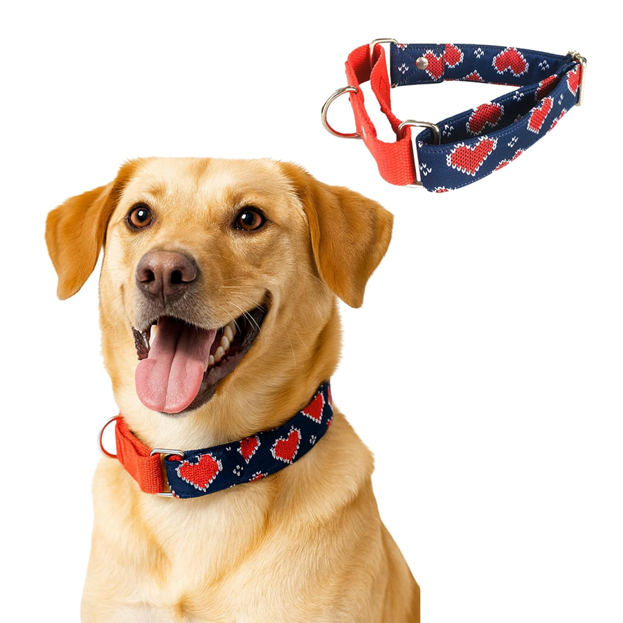 Comfort Canine Companion Refined Daily Edition