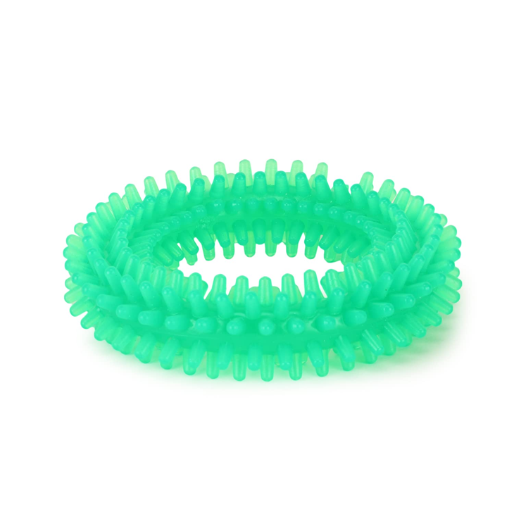 Spiked Ring Dental Chew Toy