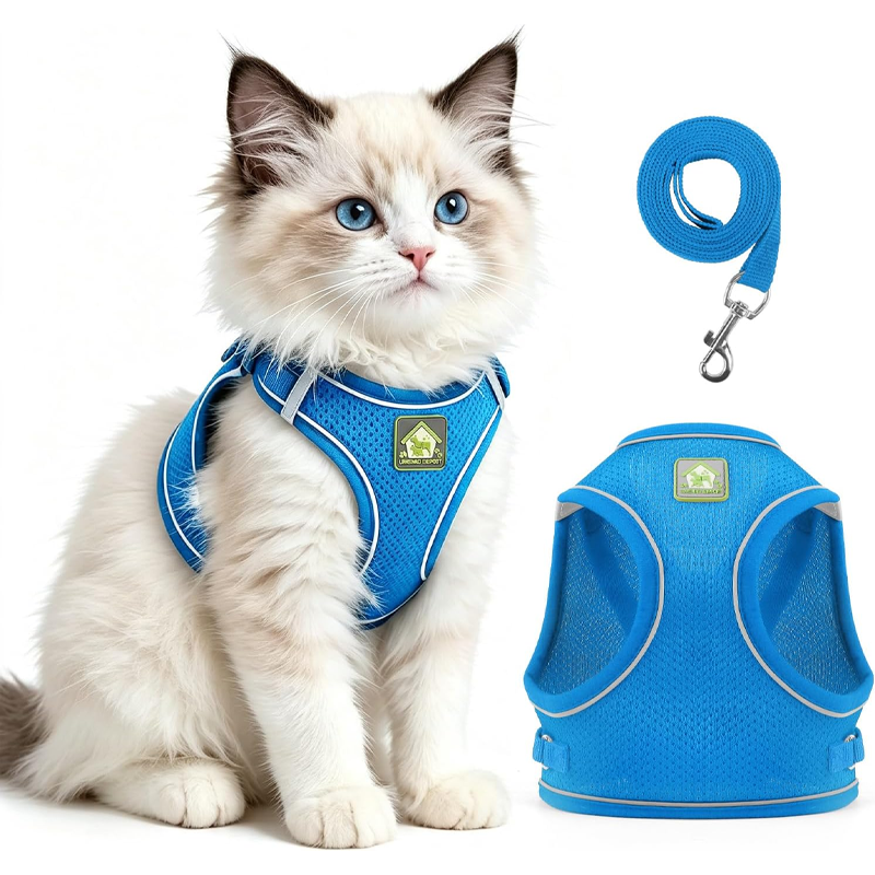 Reflective Blue Cat Walking Harness