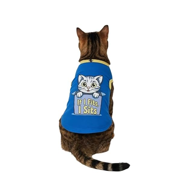 Whisker Gentle Pet Studio Playtime Series
