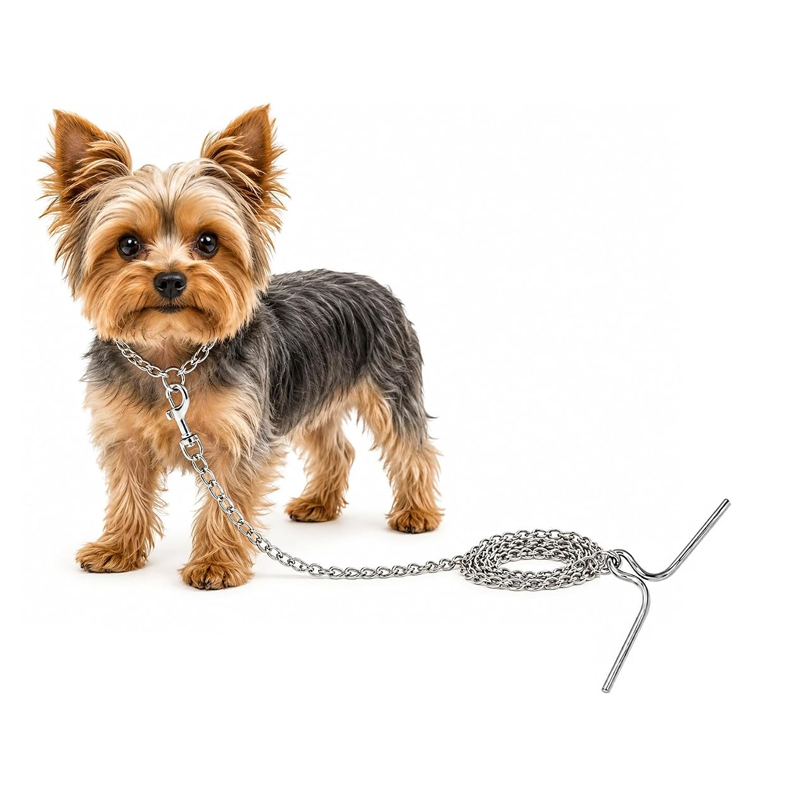 Comfort Happy Companion Bold Active Line