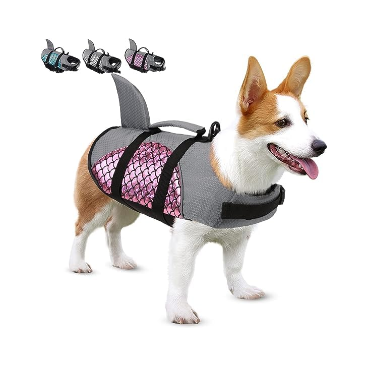Studio Edition Pawcraft Durable Pet Studio