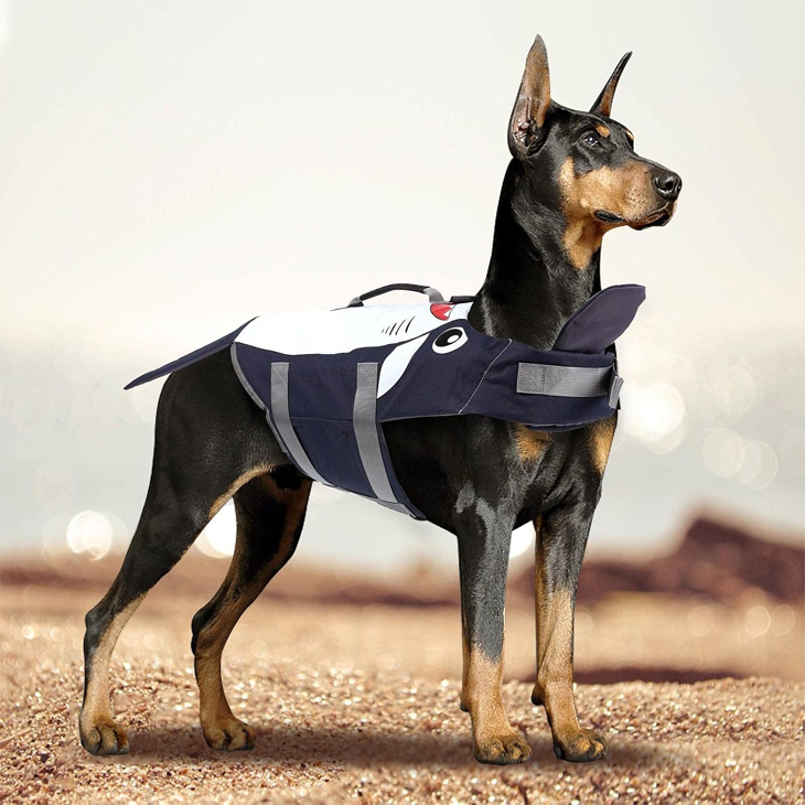 Polished Living Companion Fresh Living Carrier