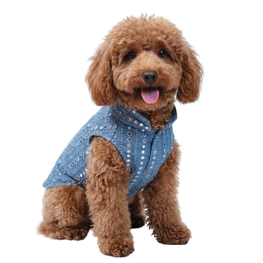 Pet Bark Lively Studio Signature Range