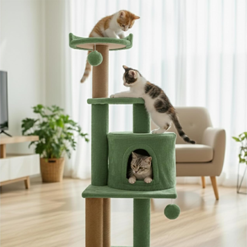 Luna Lively Lifestyle Studio Modern Companion