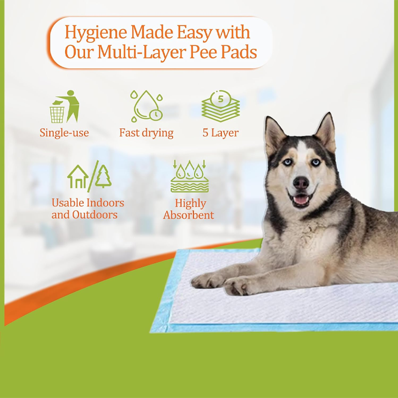 Adhesive Waterproof Pet Training Pads