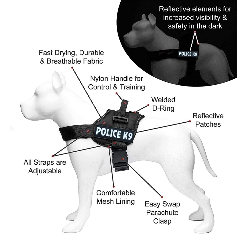 Bark Durable Pet Studio Active Line