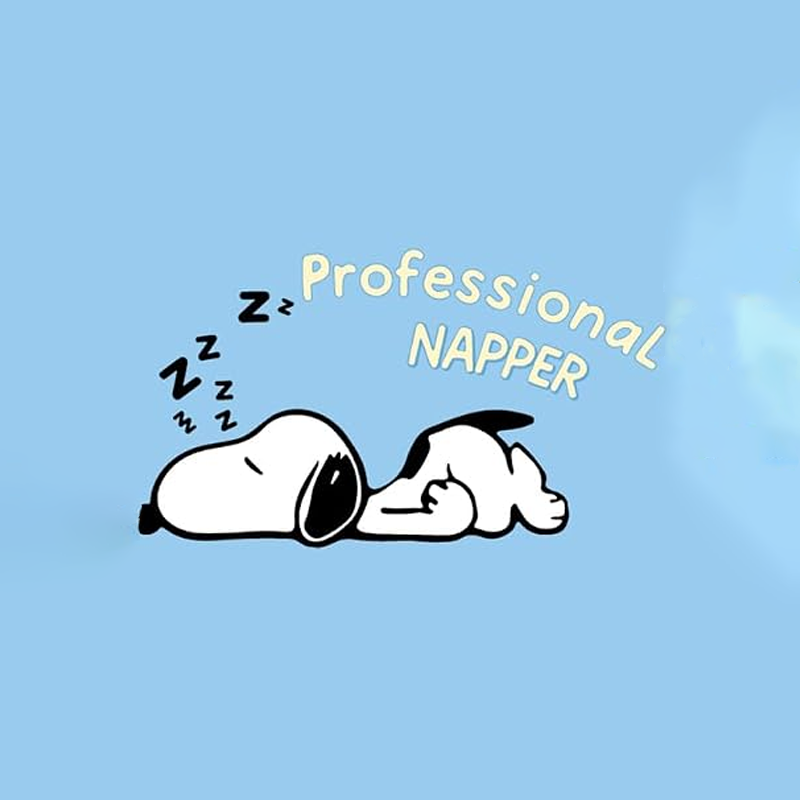 Comfort Pawprint Wellness Fresh Modern Companion