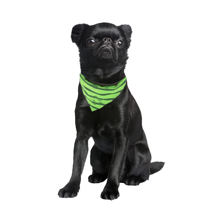 Outdoor Edit Bark Tender Pet Studio