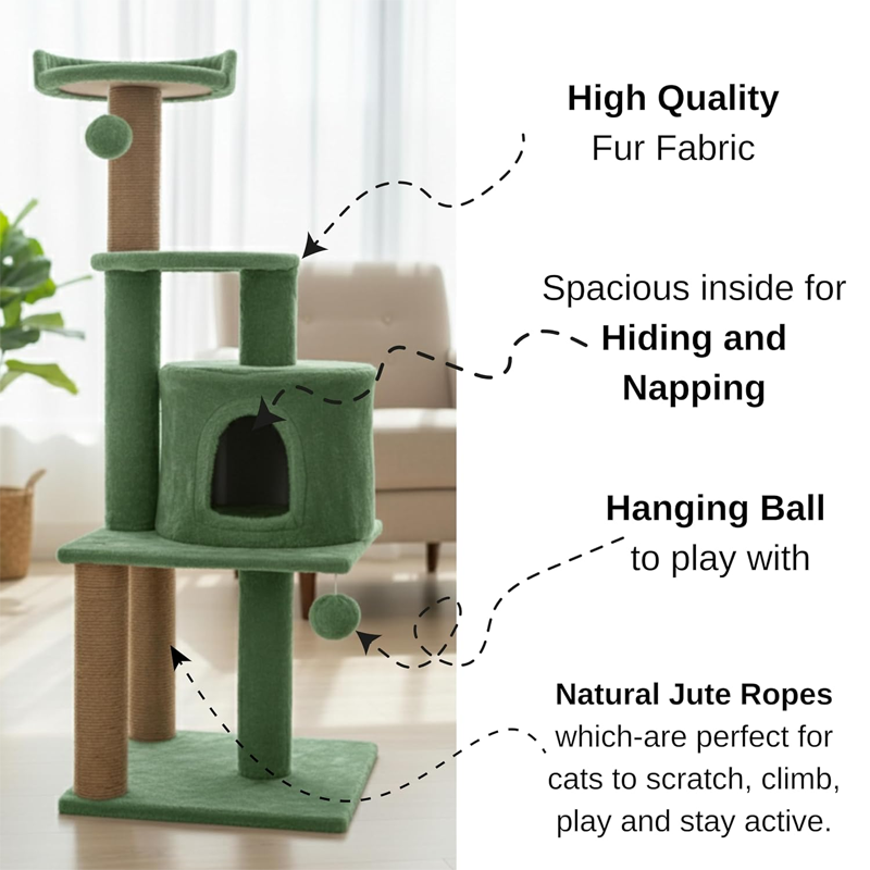 Luna Lively Lifestyle Studio Modern Companion