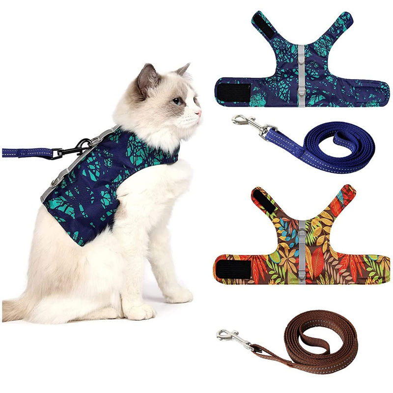 Refined Companion Claw Fresh Living Comfort