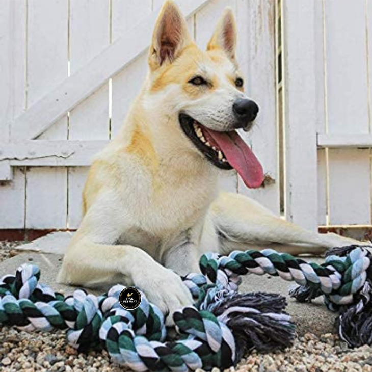 Large Knotted Cotton Chew Toy