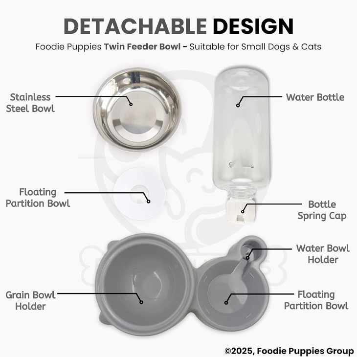 Automatic Water Dispenser Pet Bowl