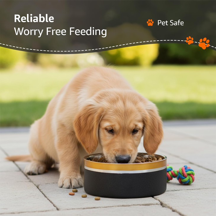 Double Wall Metal Pet Feeding Bowl