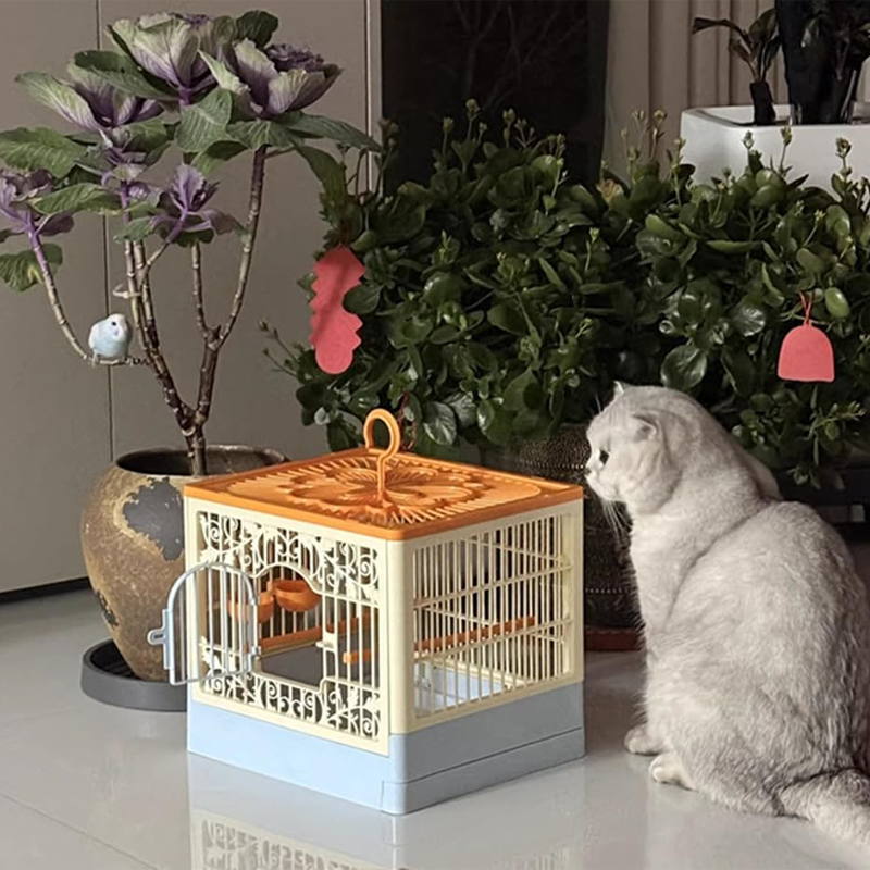 Foldable Transparent Bird Travel Cage