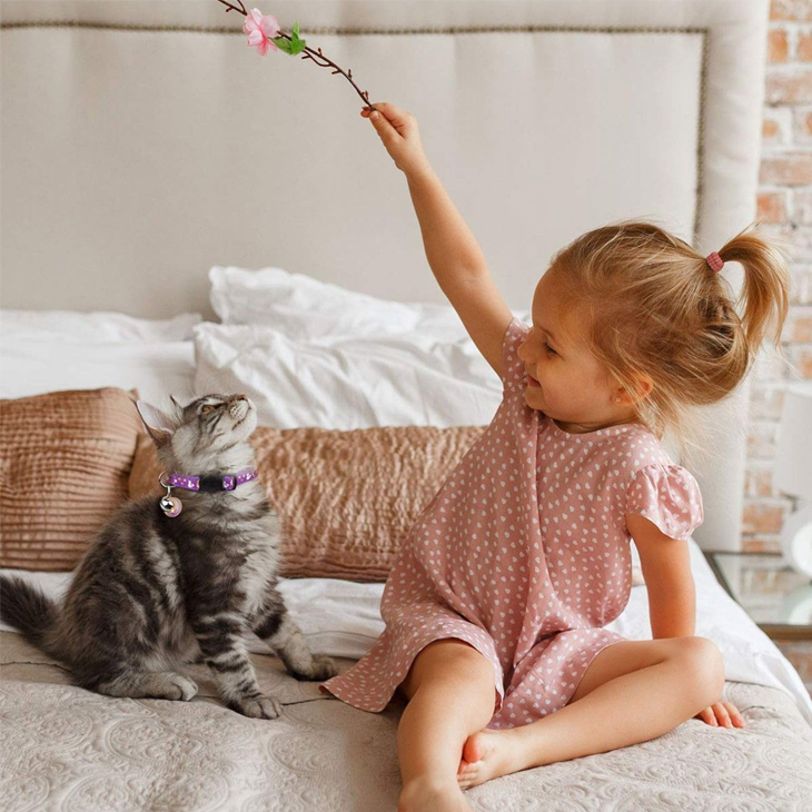Glow Bell Nylon Cat Collar Pair