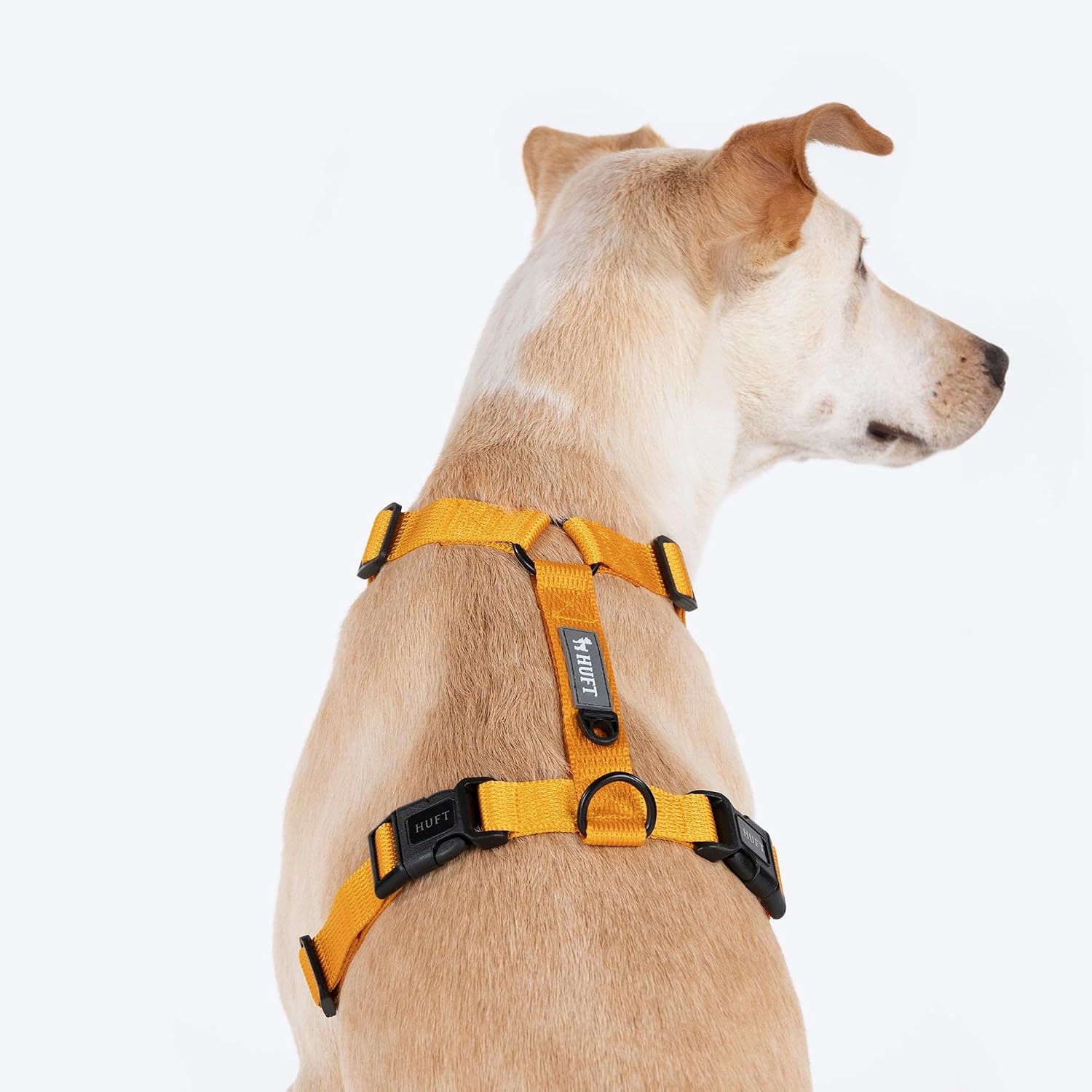 Polished Trail Carrier Living Wellness Edition
