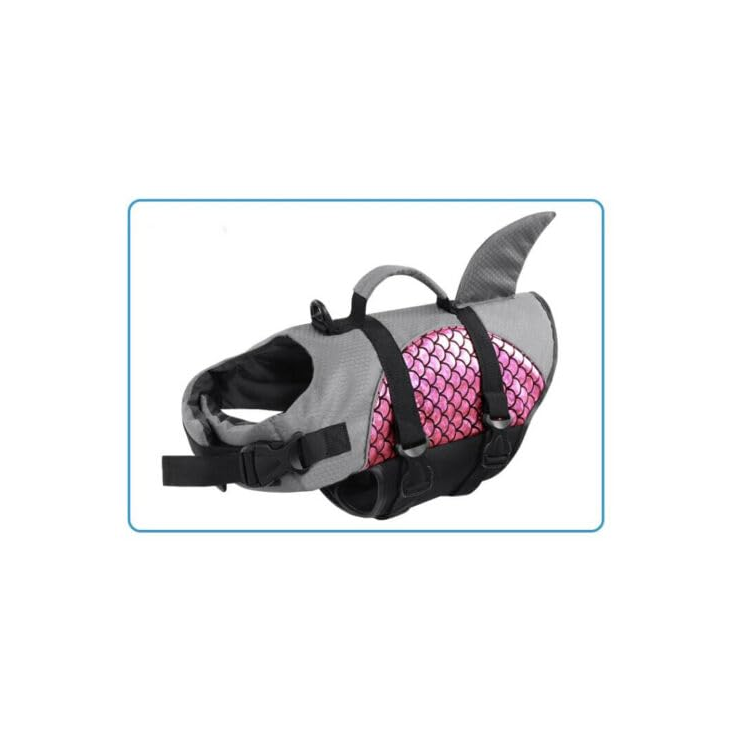 Studio Edition Pawcraft Durable Pet Studio