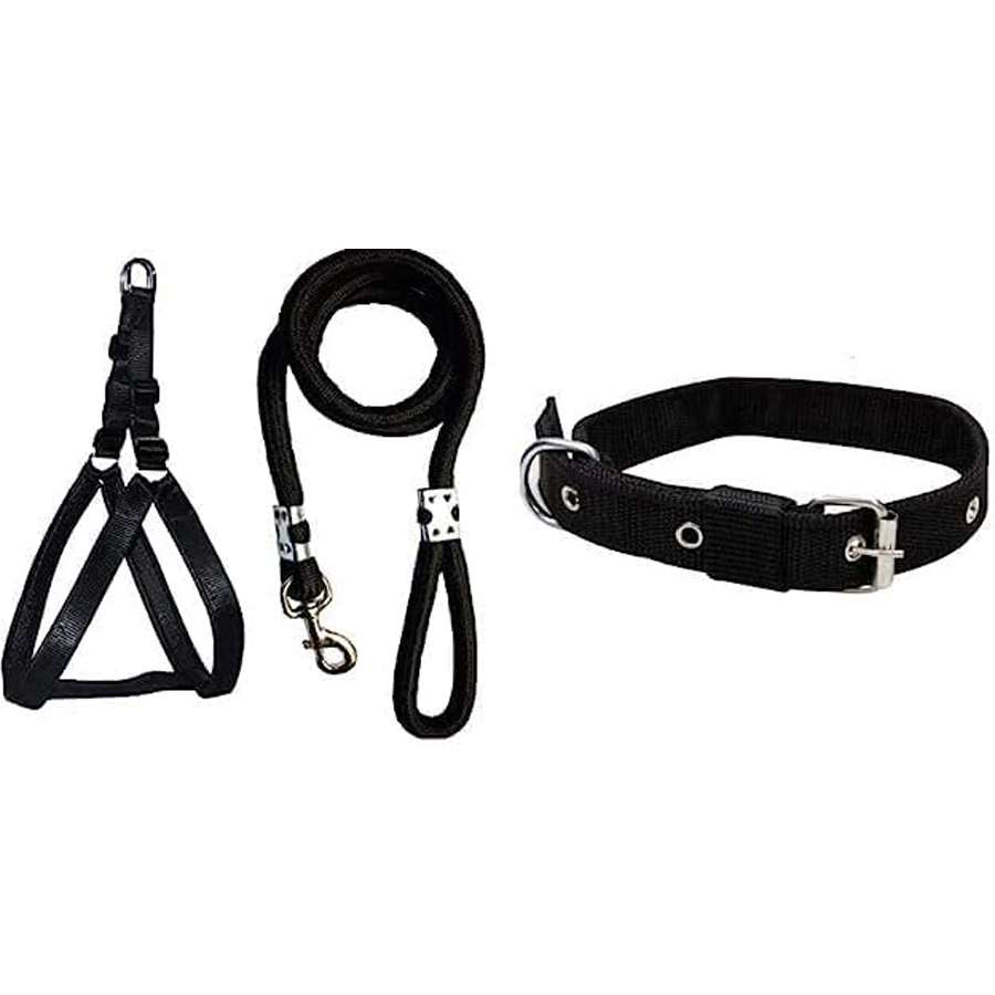 Scout Gentle Lifestyle Studio Playtime Series