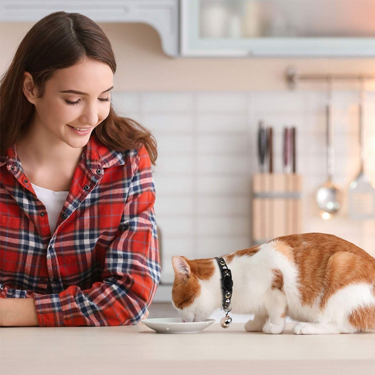 Glow Bell Nylon Cat Collar Pair