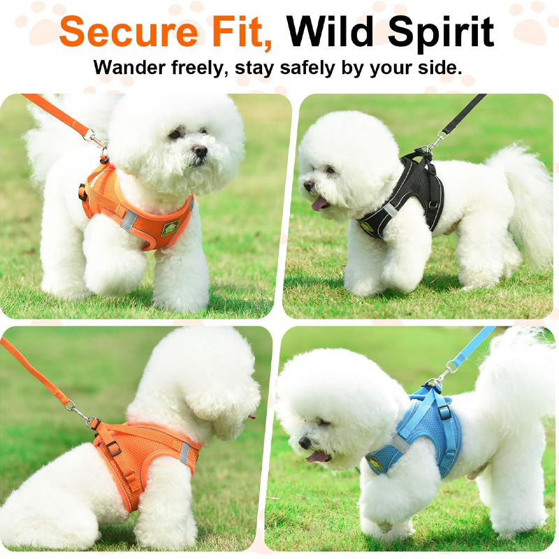 Reflective Blue Cat Walking Harness
