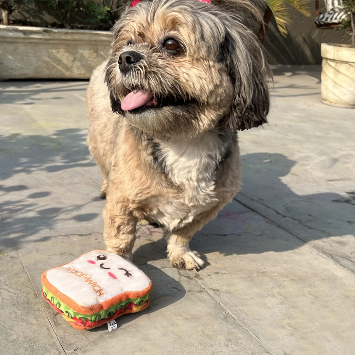 Sandwich Crinkle Squeaky Puppy Toy