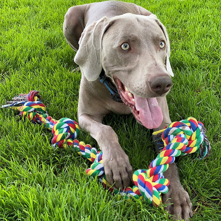 Cotton Rope Tug Chew Set