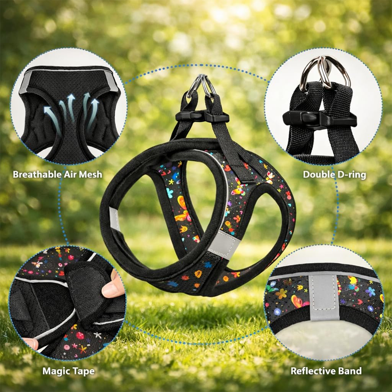 Carrier Mischief Care Premium Modern Companion
