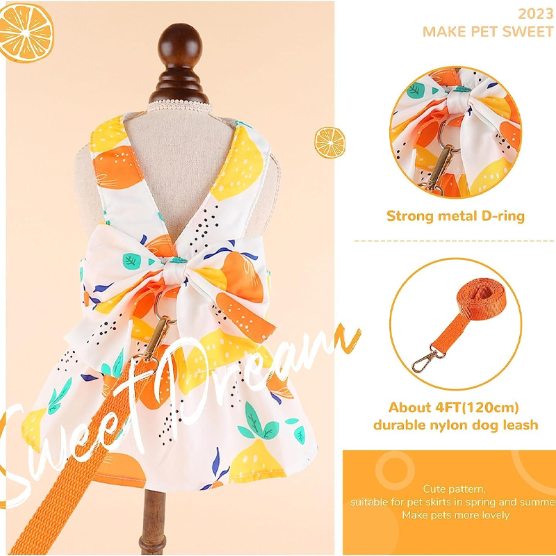 Wellness Edition Luna Clever Lifestyle Studio