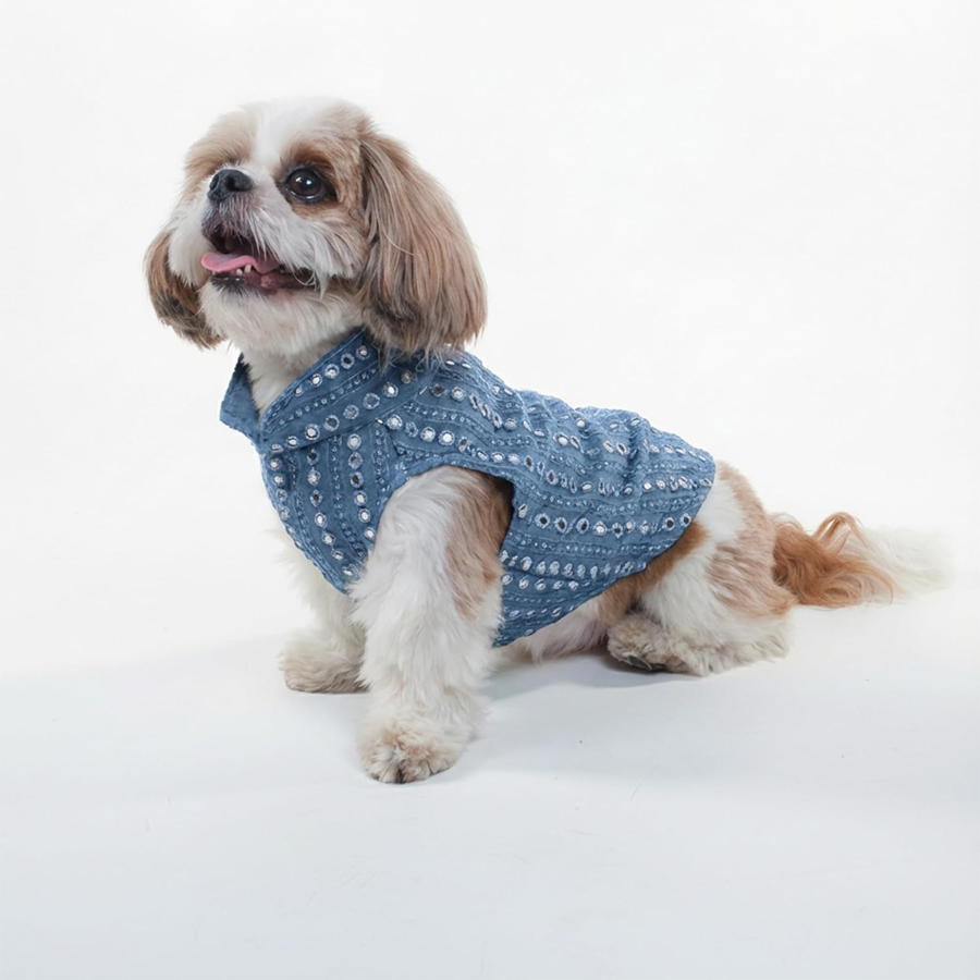 Pet Bark Lively Studio Signature Range