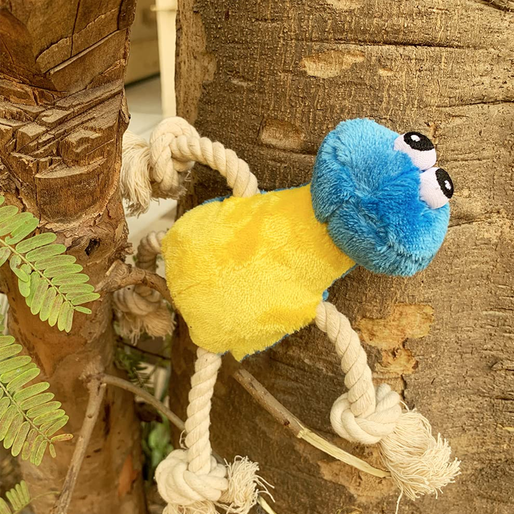 Furry Bird Crinkle Chew Toy