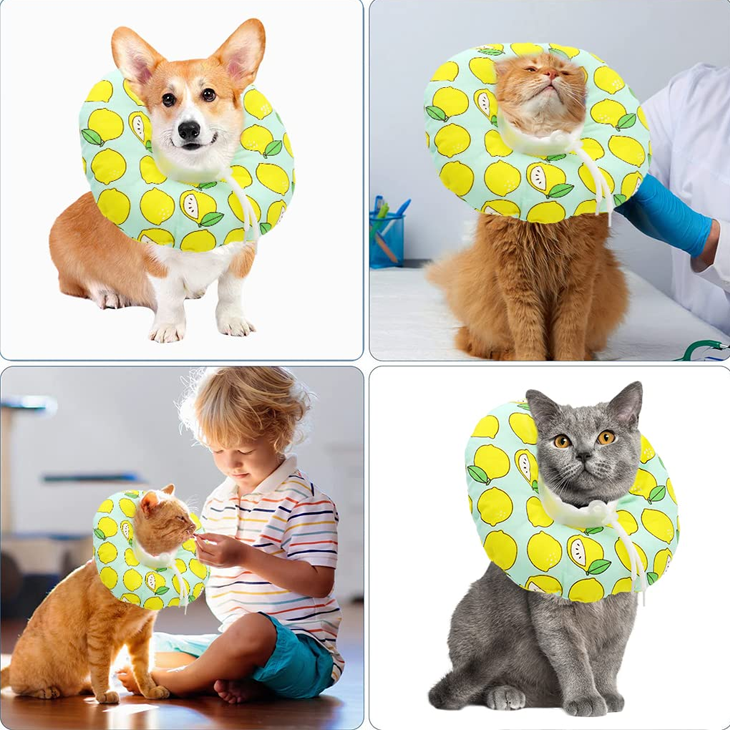 Soft Green Recovery Cat Collar