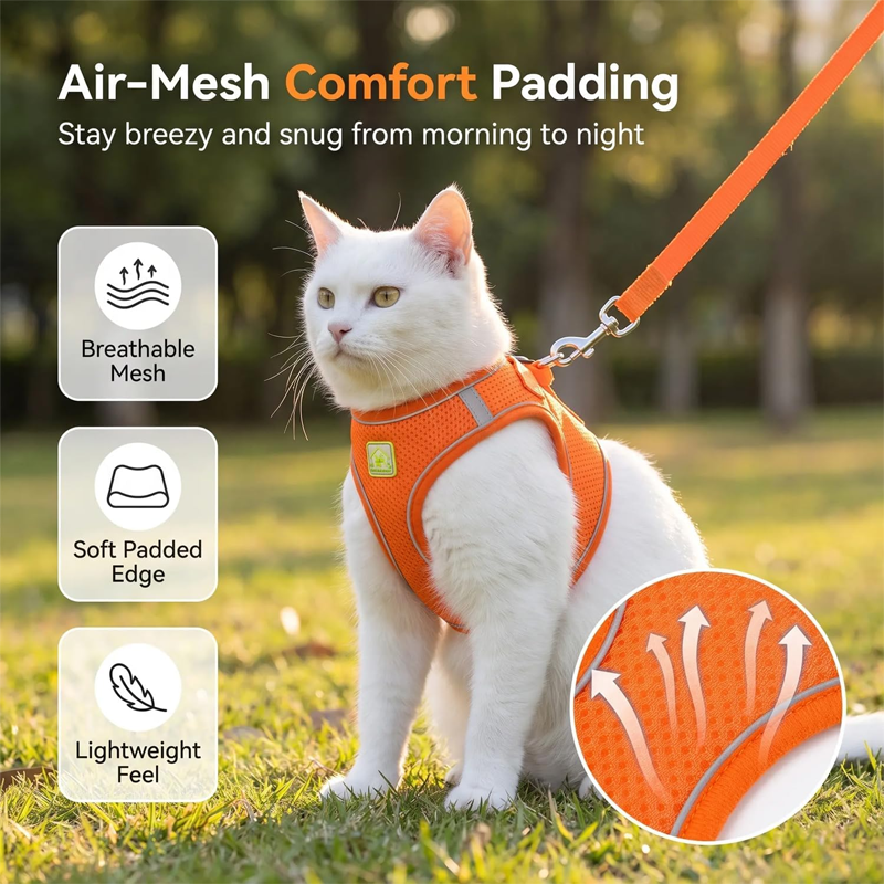 Reflective Blue Cat Walking Harness
