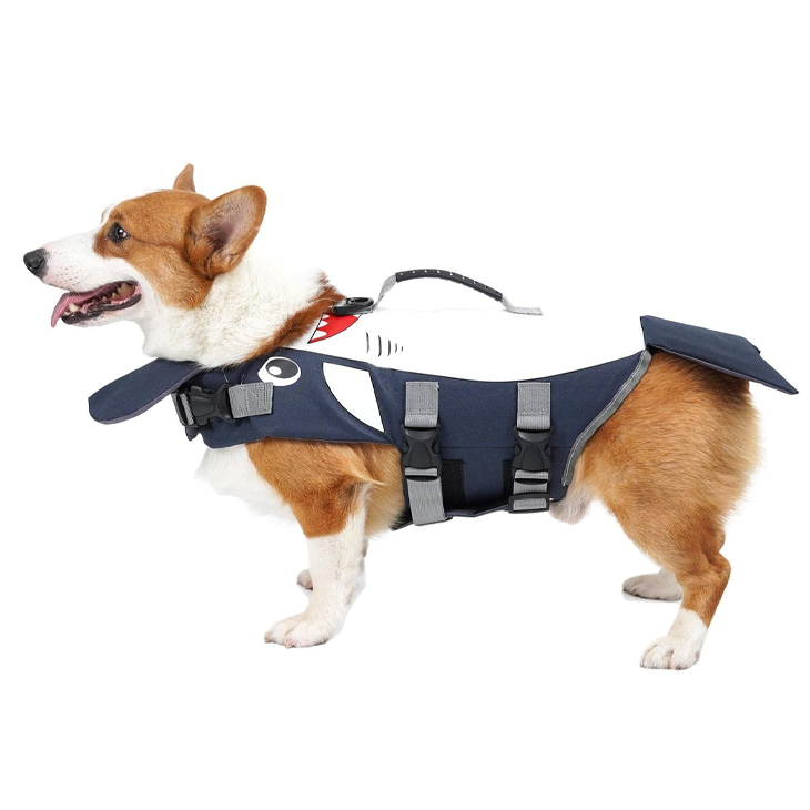 Polished Living Companion Fresh Living Carrier