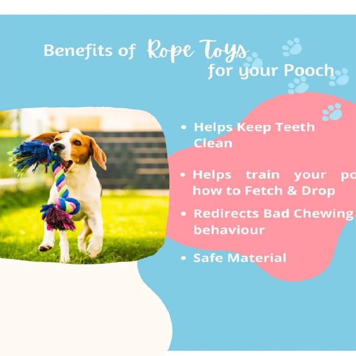 Cotton Rope Tug Chew Set