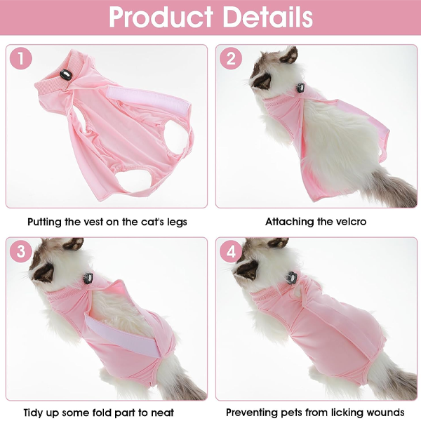 Cat Professional Recovery Suit - Abdominal Wounds & Skin Diseases, Kitten Surgery Alternative