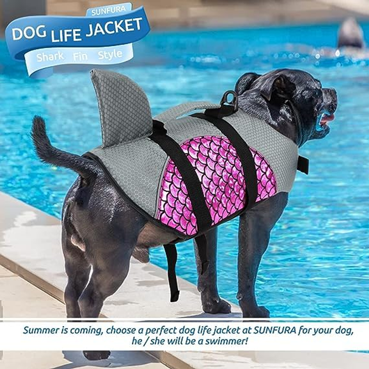 Studio Edition Pawcraft Durable Pet Studio