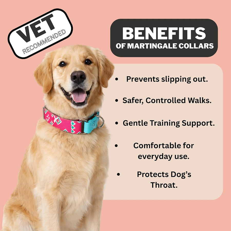 Premium Fetch Carrier Care Travel Series