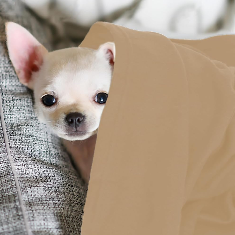 Taupe Plush Lightweight Pet Blanket