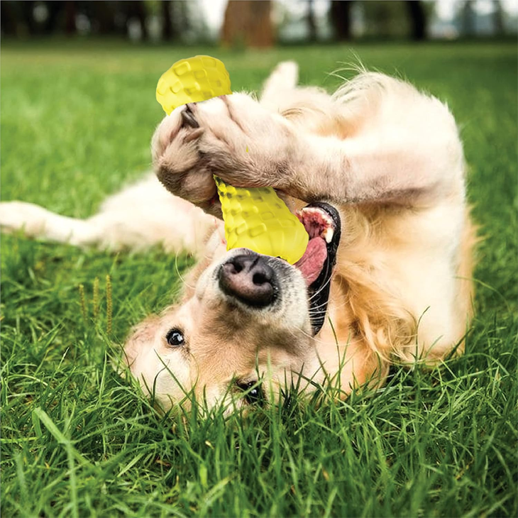Dumbbell Treat Dispensing Chew Toy