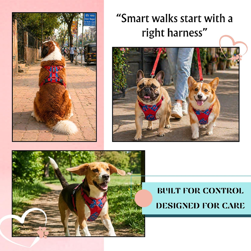 Comfort Pawprint Wellness Velvet Playtime Series