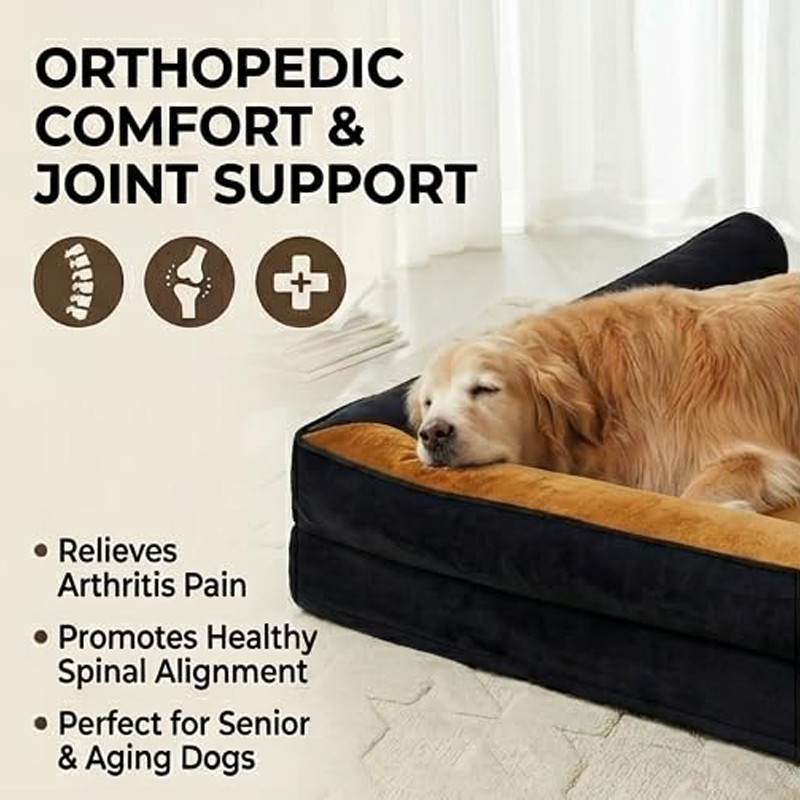 Supportive Cushioned Pet Sofa Bed