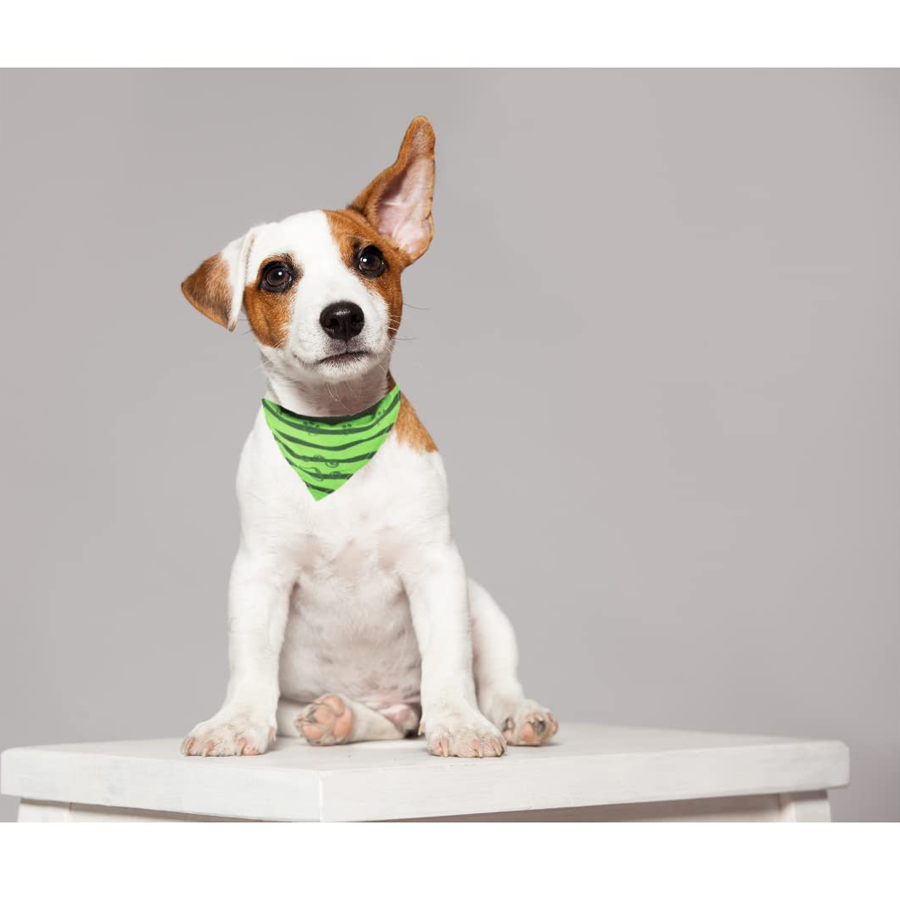 Outdoor Edit Bark Tender Pet Studio
