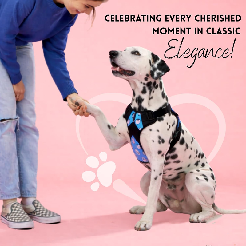 Bright Care Fetch Quiet Luxury Carrier